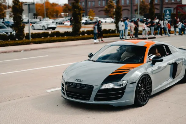 Casino Wild Vegas Application Android/iOS